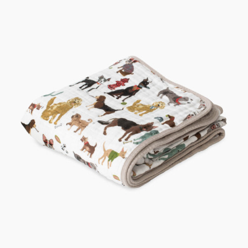 Cotton Muslin Original Quilt - Woof