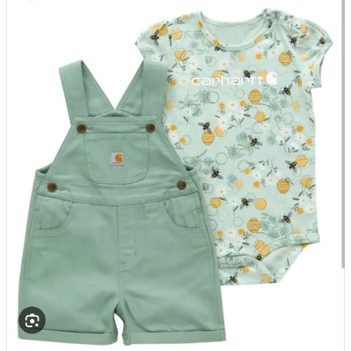 Carhartt Kids' Short-Sleeve Bee Bodysuit and Canvas Shortall Set at Tractor Supply Co