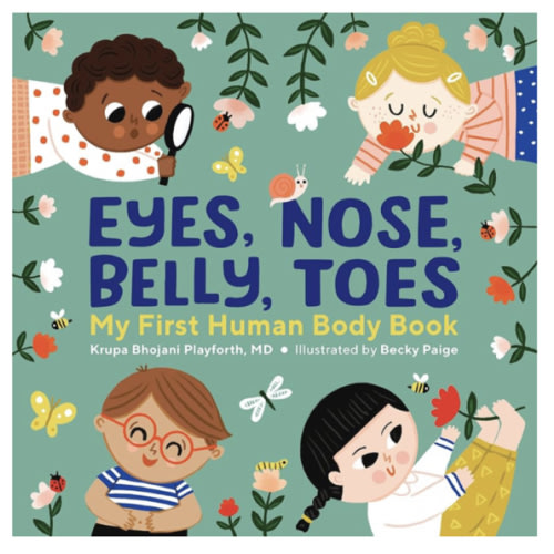Eyes, Nose, Belly, Toes: My First Human Body Book