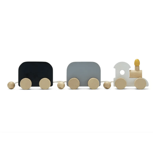 Celebration Train