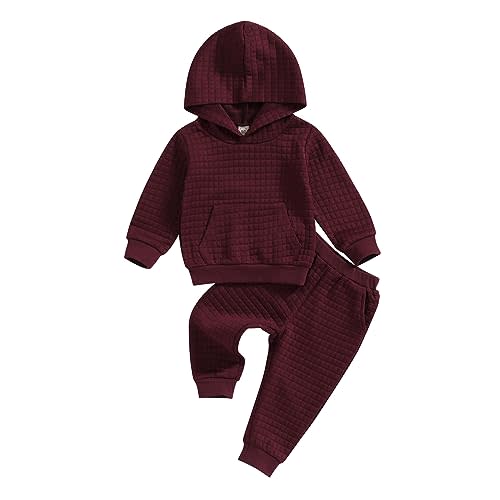 Ledy Champswiin Baby Boy Girl Sweatsuits Sportswear Toddler Kids Solid Color Outfit Hoodie Sweatshirt Tops & Pants Clothes