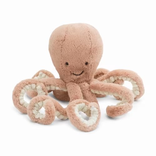 Octopus, Small