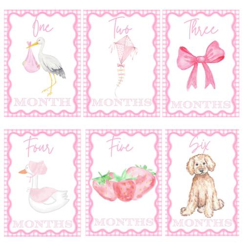 Baby Girl Milestone Cards