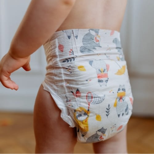 Diaper Fund
