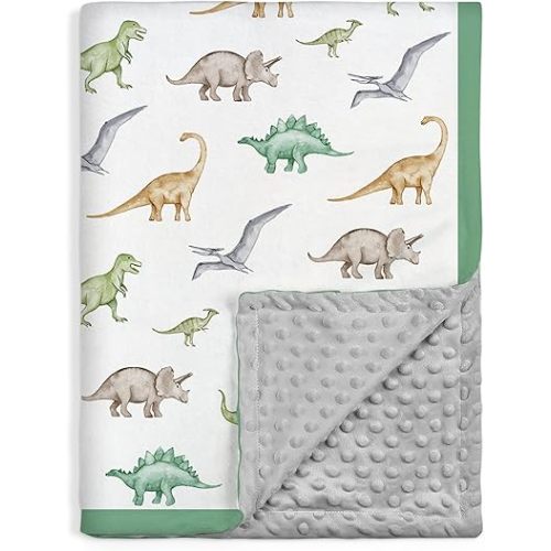SANDJEST Dinosaurs Blanket for Boys - 30 x 40 Minky Kid Blankets Gift for Kids on Christmas Birthday