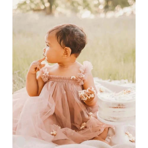 Daphne Dress in Dusty Rose | Reverie Threads