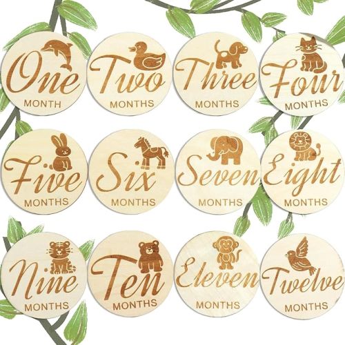 Wooden Baby Monthly Milestones for Newborn Baby,1-12 Months Baby Announcement Discs, Pregnancy Baby Shower Gifts (12 pcs Single-Sided Animals)