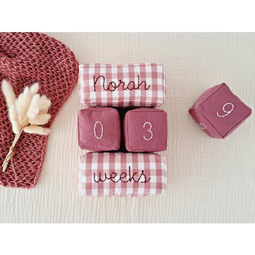 Newborn milestone blocks, Gingham baby month blocks, Pink age blocks set, Monthly blocks with personalized name, Baby photo first year