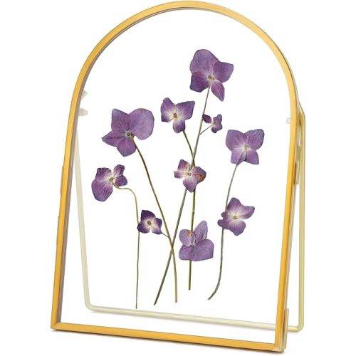Double Glass Frame for Pressed Flowers Handmade, Metal Floating Picture Frame for Pressed Flower, Tabletop Display, Brass, ArcShaped, Gold, 5x7 inches (FRAME ONLY)