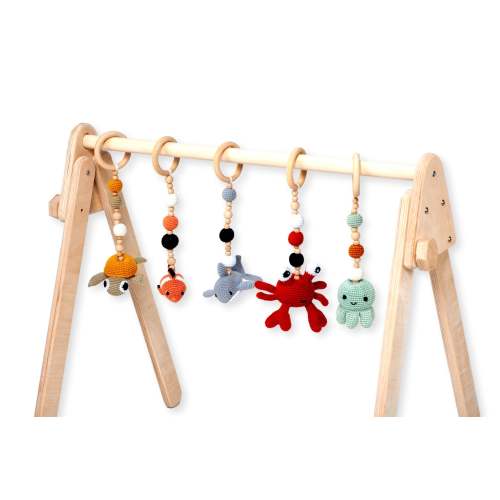 Montessori Baby Gym & Hanging Toys Set | Wooden Play Gym for Babies