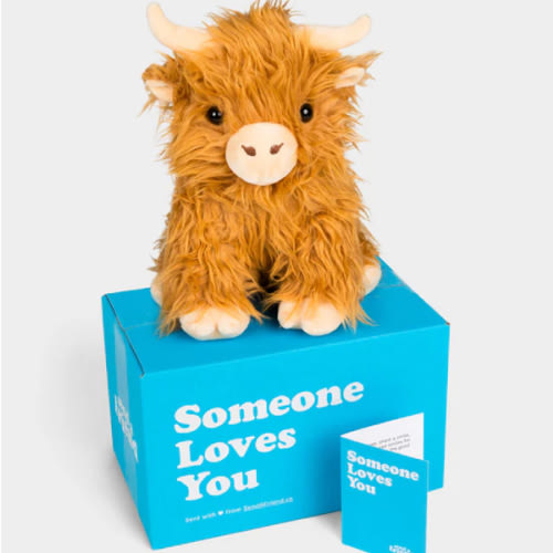 Helena the Highland Cow | SendAFriend's Stuffed Animal Care Packages