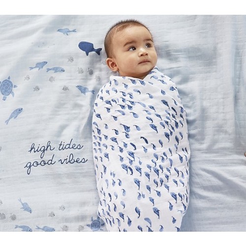 Jack Nautical Baby Swaddle - Set Of 3 | Pottery Barn Kids
