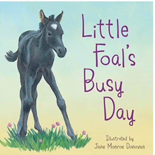 Little Foal's Busy Day