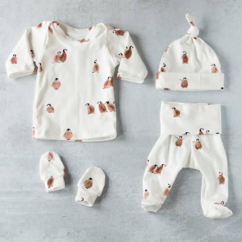 Penguin Baby Outfit Set, baby boy outfit, organic baby clothing, gender neutral baby outfit, baby girl outfit, baby gift set, preemie outfit