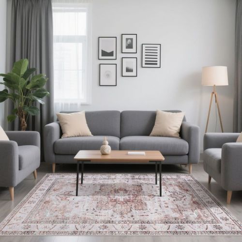 6x9 Area Rugs for Living Room - Machine Washable Non Slip Vintage Rugs, Low Pile Lightweight Chenille Print Rug for Bedroom, Dining Room, Home Office