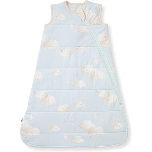 Burt's Bees Baby Unisex Newborn Essentials 100% Organic Cotton Beekeeper Wearable Blanket