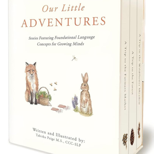 Our Little Adventures: Stories Featuring Foundational Language Concepts for Growing Minds (Tabitha Paige Children's Book Series)