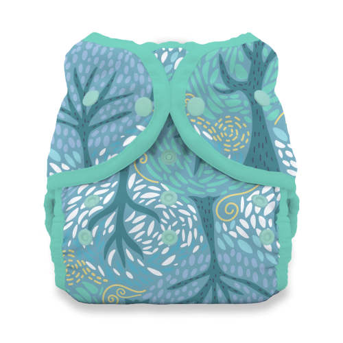 Thirsties Duo Wrap Snap diaper cover (Size One, Breezy)