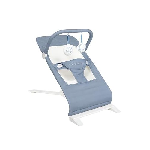 Baby Delight Alpine Deluxe Portable Baby Bouncer | Infant | 0-6 Months | 100% GOTS Certified Organic Cotton Fabric | Organic Dusty Blue