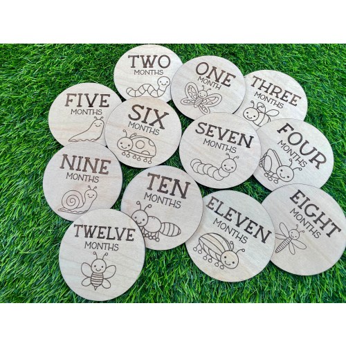 Little bug monthly milestone markers/ cute bugs baby shower gift/ neutral months