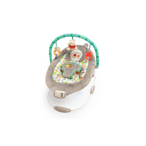 BS Winnie the Pooh Bouncer