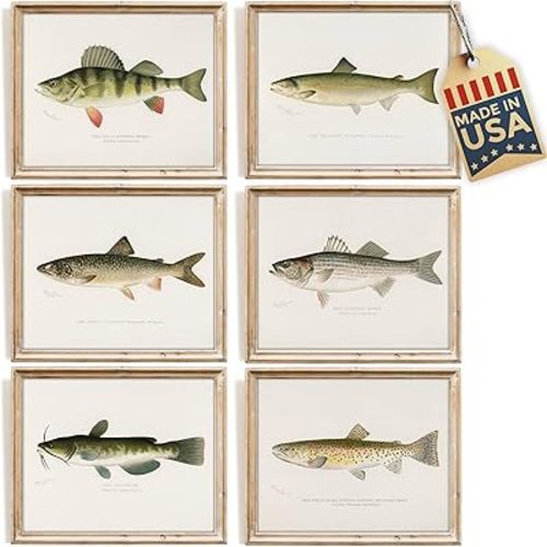DREAM BIG PRINTABLES Fish Wall Art Prints (Set of 6) - Unframed - 8x10s | Vintage Fishing Decor - Midwest Fish Species - Great Gift for Fisherman