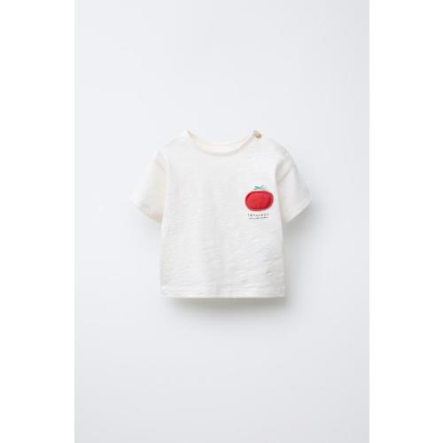 TOMATO PATCH T-SHIRT - Oyster-white | ZARA United States