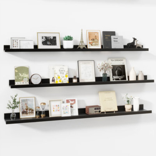 Millwood Pines Darlicia 2 Piece Picture Ledge Wall Mounted Shelf | Wayfair