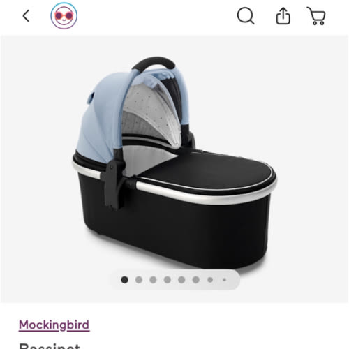 Bassinet