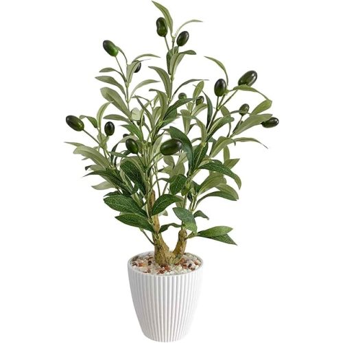 Artificial Olive Tree 18" Tall Small Faux Fake Potted Plant Medium Olive Branches and Fruits Realistic Mini Tree for Tabletop Home Office Living Room Decor Indoor (Olive)