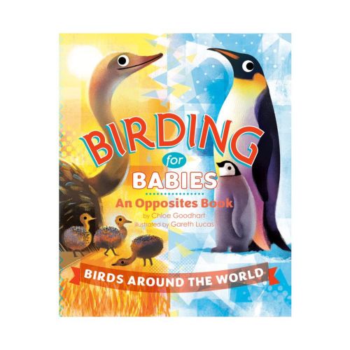 Birding for Babies: Birds Around the World - by Chloe Goodhart (Board Book)