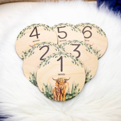 Boy Highland Cow Milestone Cards, Baby Milestone Cow Markers, Wood Milestone Cards, Baby Milestones, Photo Prop, Highland Cow Nursery C21