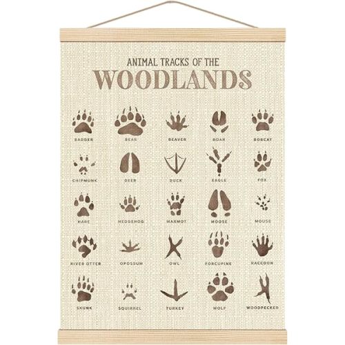Boat Wades Animal Footprints Poster Hanger Frame, Kids Bathroom Playroom Decor, Footprints Nursery Hanging Banner Wall Art Decor for Toddler Kids Girl Boy Room Classroom, 12x16 Inch