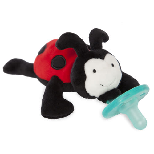 Ladybug