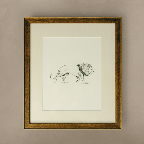 The 'Lion' Framed Art