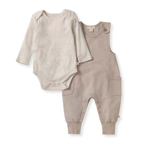 Origami Dinos Baby Boy Bodysuit & Jumpsuit Set – Burt's Bees Baby