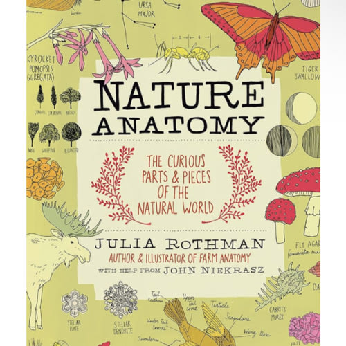 Nature Anatomy: The Curious Parts and Pieces of the Natural World: Rothman, Julia: 9781612122311: Amazon.com: Books