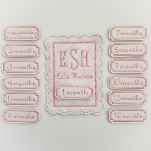 Pink Toile Baby Milestone Keepsake – Personalized Grandmillennial Baby Girl Gift | Custom Baby Name Appliqué Monthly Photo Prop with Velcro
