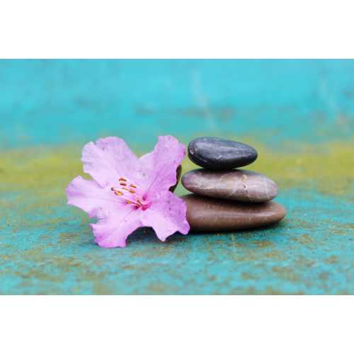 Book a massage with Kim's Massage and Wellness Center | Hudson MI 49247