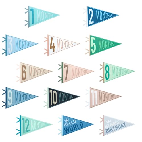 LIOUCBD 14 Pcs Baby Monthly Milestone Felt Pennant, Month Baby Milestone Signs, Monthly Milestones Triangle Banners for Boy Girl, Age Milestones Flag Signs for Photos Props &Newborn Birthday Party Decor