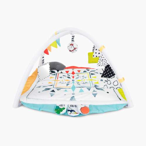 Sassy Hello Baby Play Gym