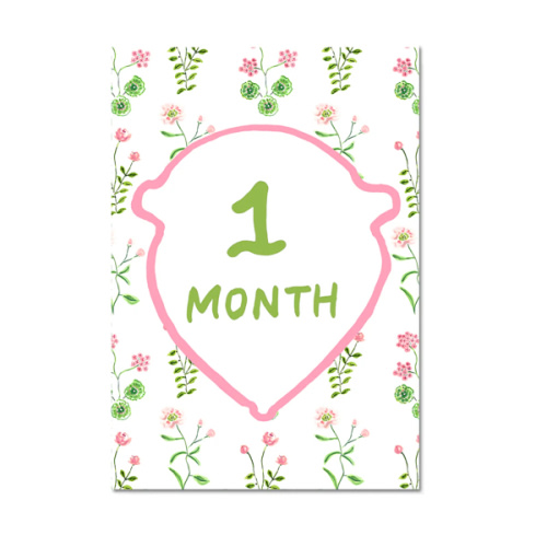 Baby Milestone Cards: Pink + Green Set