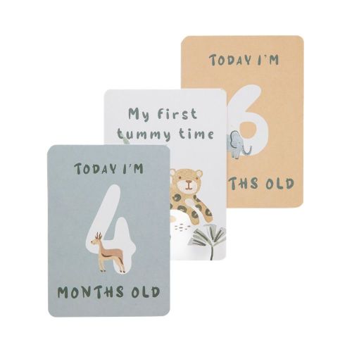 Living Textiles Milestone Cards Wild Safari