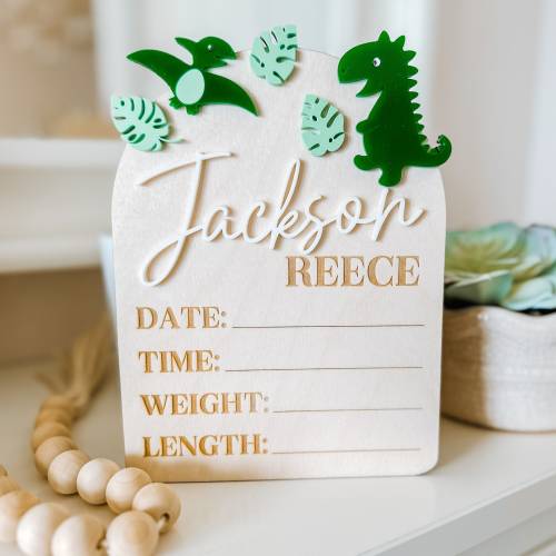 Dinosaur Birth Stat Announcement Sign made with Wood and Acrylic, Animal Nursery Sign, Personalized Name Sign for Dinosaur Nursery Theme.