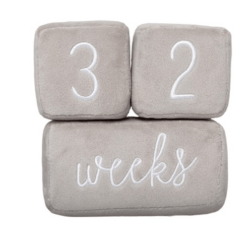 Plush Milestone Blocks – The Little Cottage