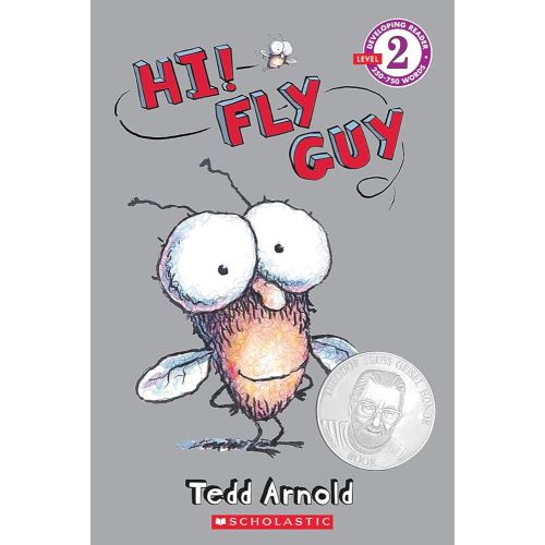Hi! Fly Guy