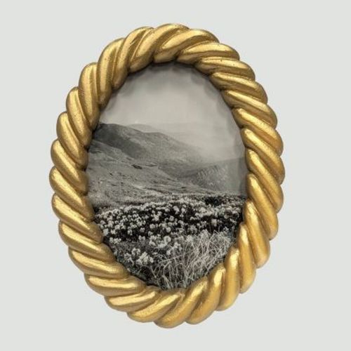 Harbortown 5"x7" Coiled Oval Table Picture Frame Gold