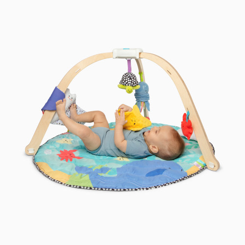 Ocean Easy-Fold Play Gym - Multi