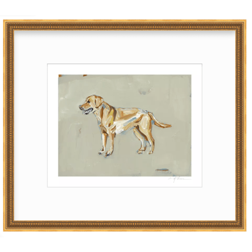 "Yellow Lab" tan print