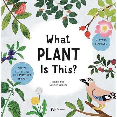 What Plant Is This? (Stories from Nature, 4) Board book – Lift the flap, May 27, 2025